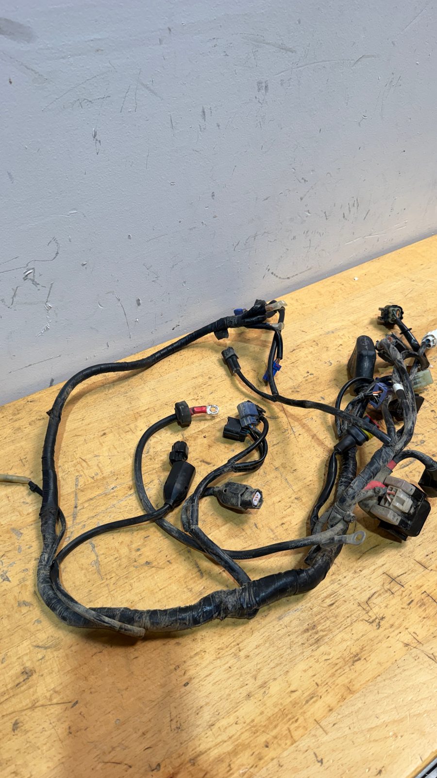 2023-2025 KTM 450 SX-F Factory Edition OEM Main Engine Wiring Harness