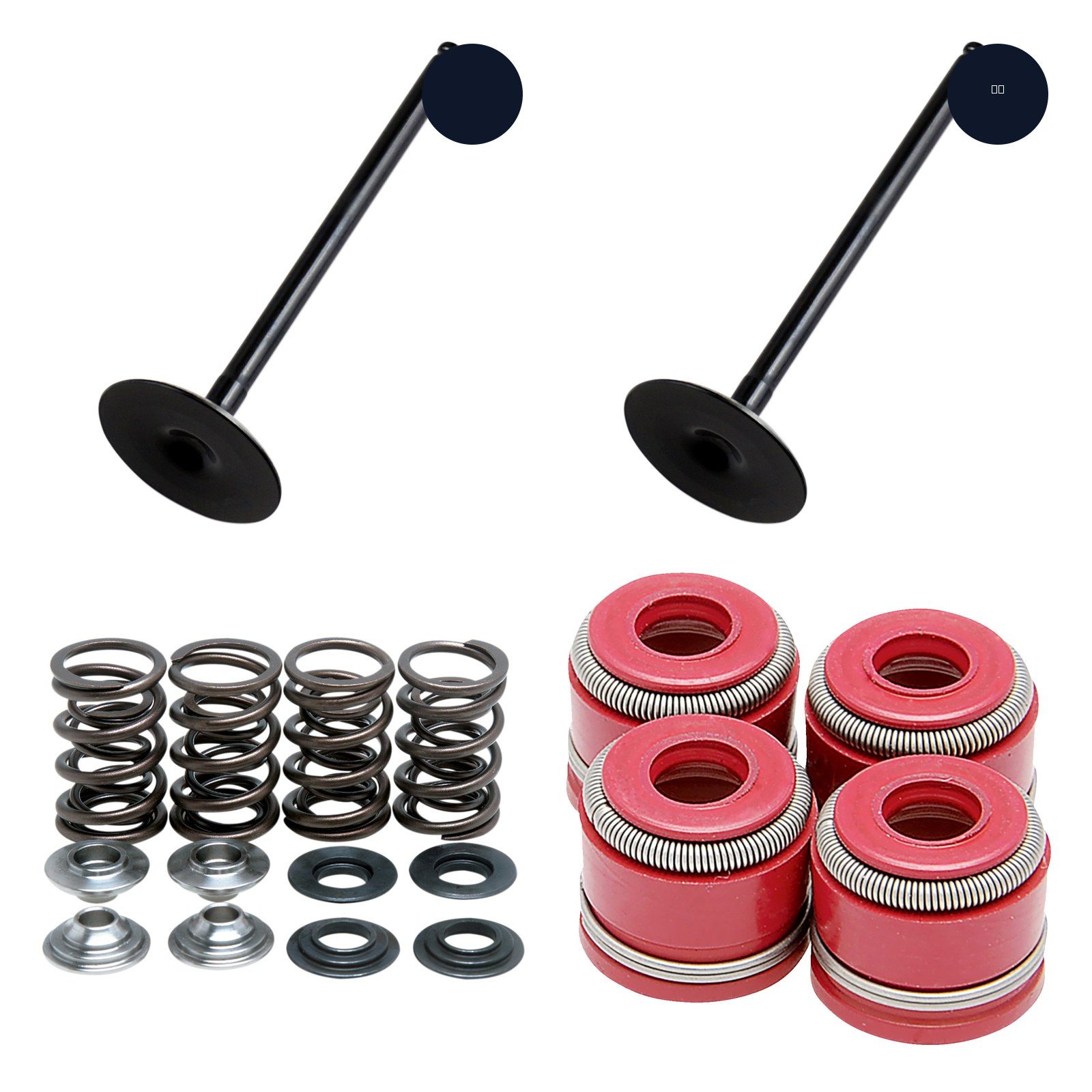 03-09 Suzuki LTZ400 LT-Z 400 Hot Cams Valves Kibblewhite Springs Moose Seals Kit