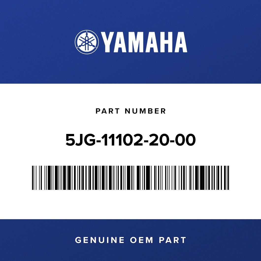 Yamaha OEM Cylinder Head Assembly 2000-2002 426 - 5JG-11102-20-00 undefined