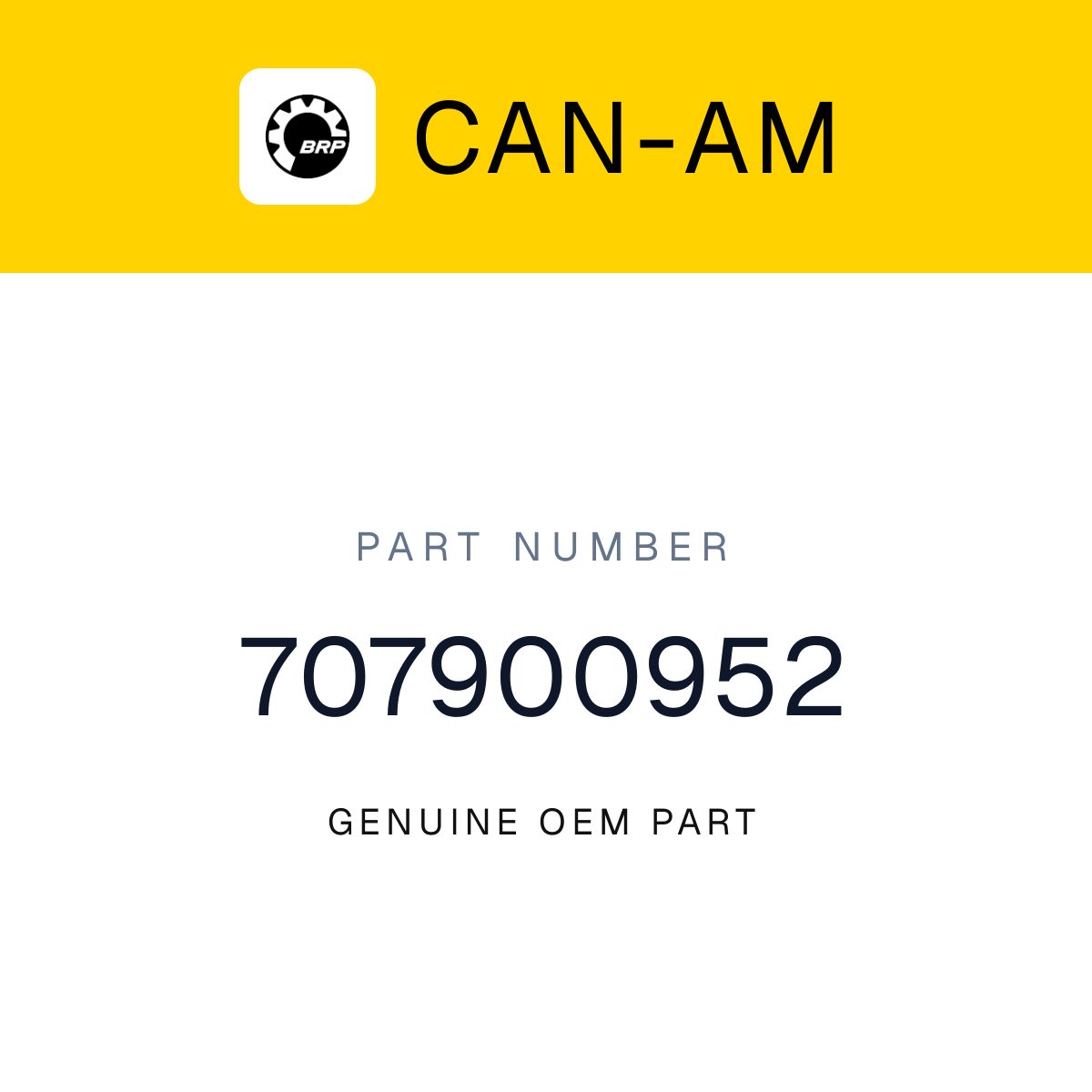 Can-Am OEM Central Dashboard 2024 - 707900952 undefined