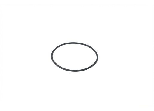 KTM HUSQVARNA GASGAS 85 SX TC 85 MC 85 OEM VITON O-RING 54X2 0770540020