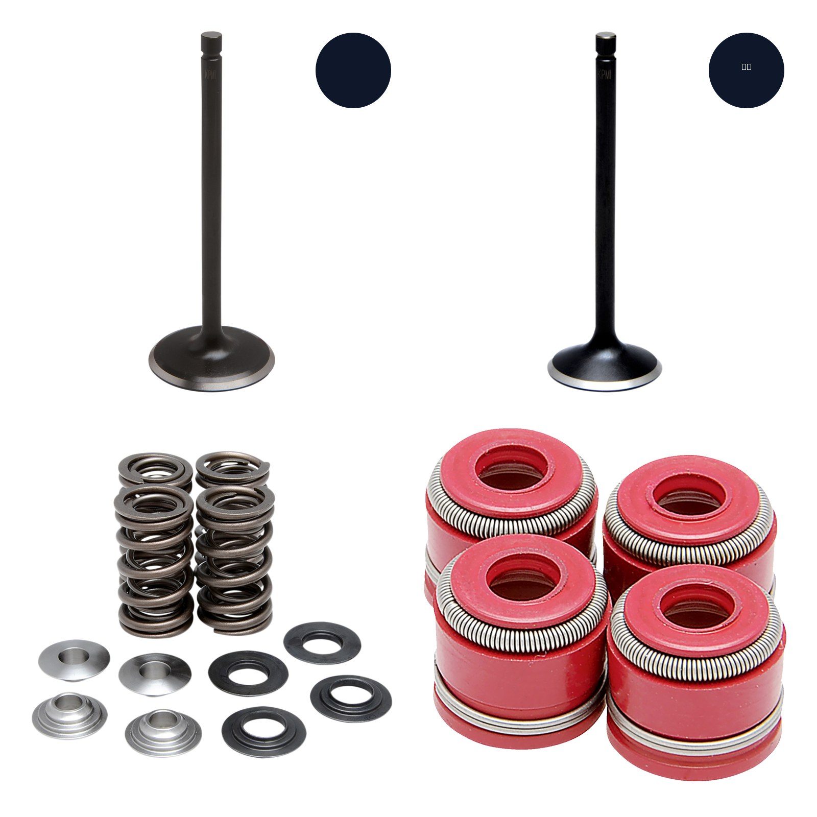 06-12 Yamaha Raptor 700 YFM700 Kibblewhite Valves Springs Moose Valve Seals Kit