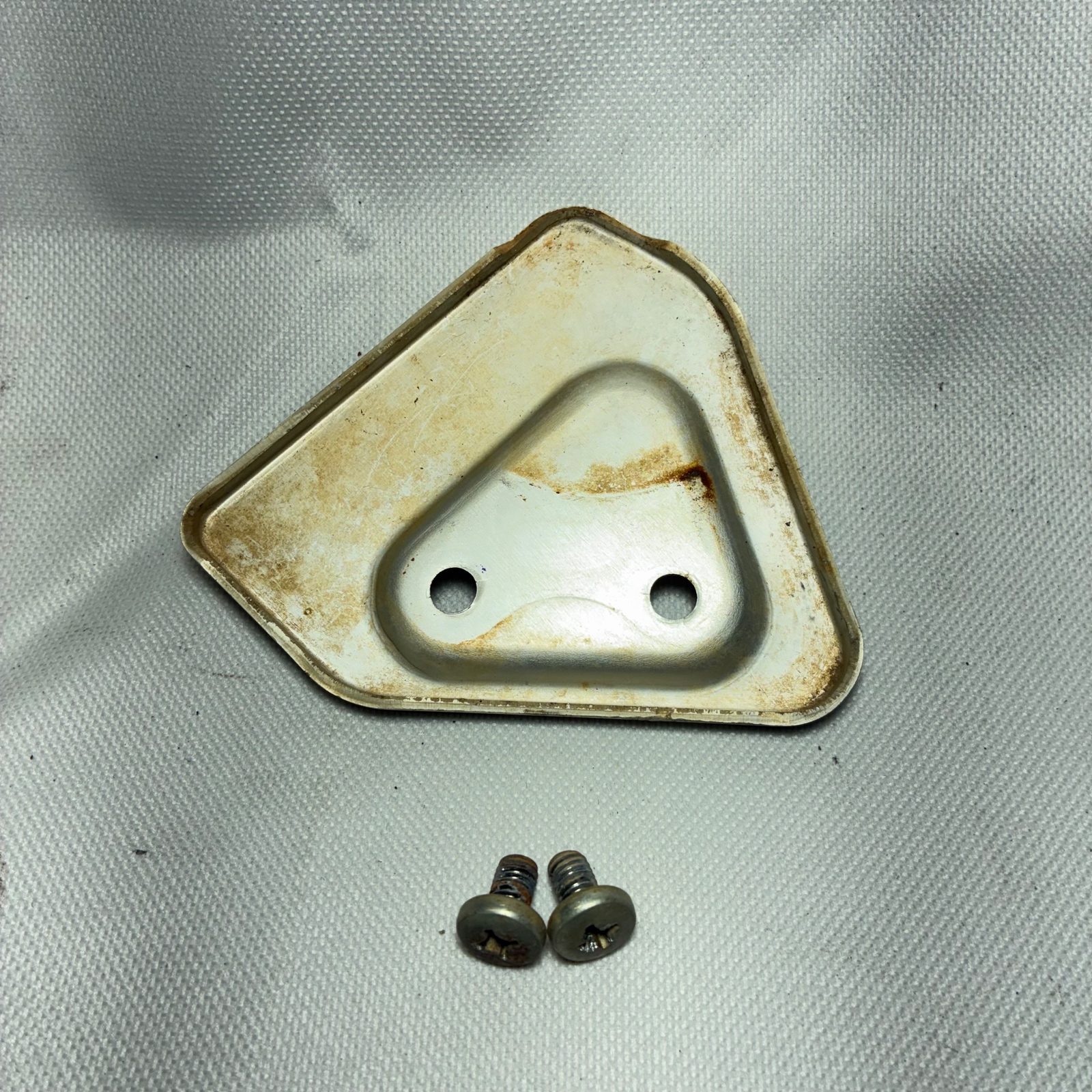 2006 Yamaha TTR125LE Frame Guard Plate with Screws