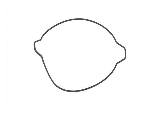 2018-2026 KTM 85 SX Husqvarna TC 85 GasGas MC 85 Clutch Cover Gasket 47230027000